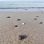 Pokoje Goscinne Pod Tuja Gasthof Wisełka