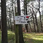 Gasthof Pokoje Goscinne Pod Tuja